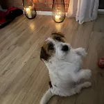 Błękit Jeziora Przystajne
