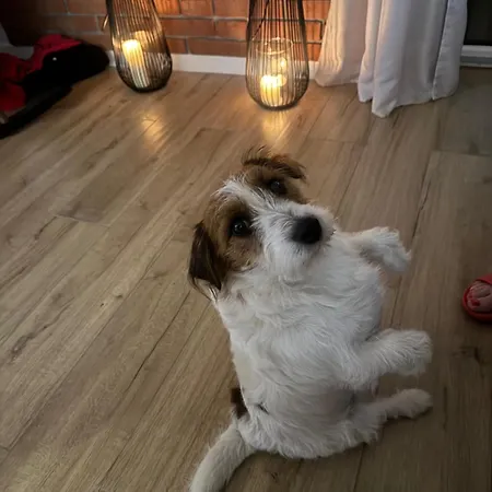 Blekit Jeziora Przystajne