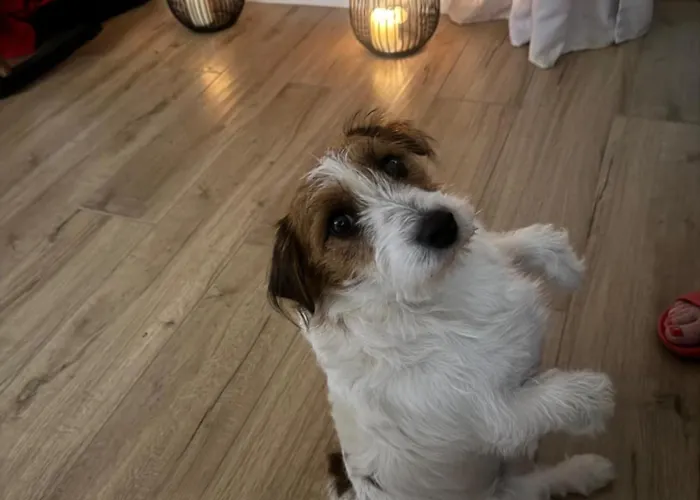 Blekit Jeziora Przystajne